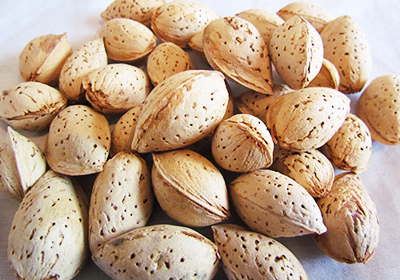 قیمت روز انواع بادام در بازار ایران